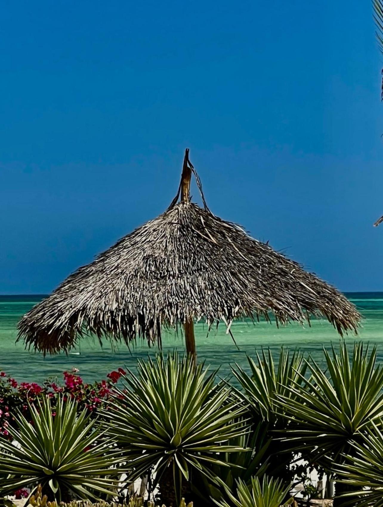 Shira House Bed & Breakfast Watamu Bagian luar foto