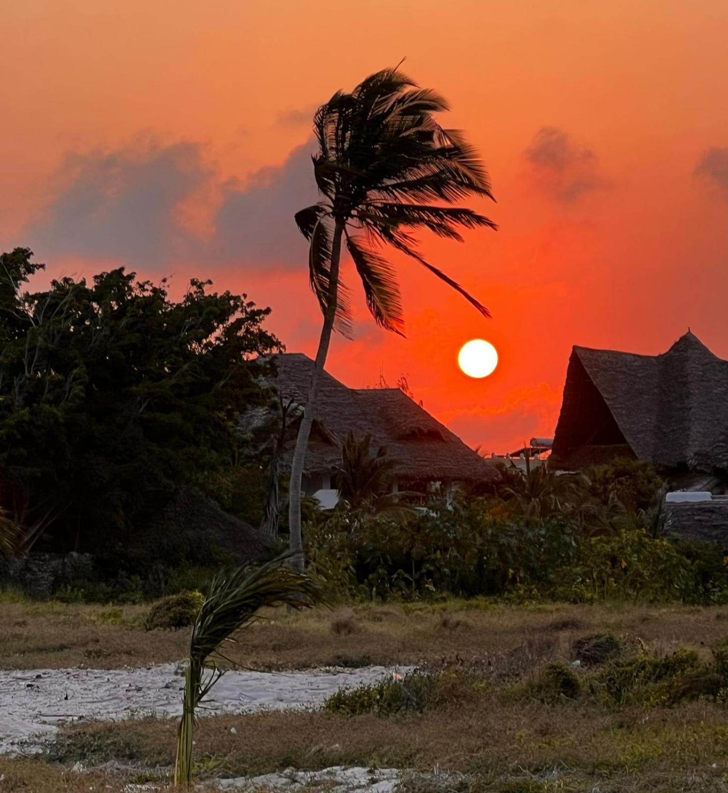 Shira House Bed & Breakfast Watamu Bagian luar foto
